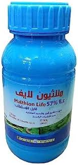 ملاسيون لايف